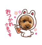 COCOたんの毎日（個別スタンプ：5）