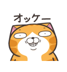 ランラン猫 18 (日本語)（個別スタンプ：4）