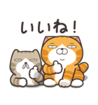 ランラン猫 18 (日本語)（個別スタンプ：6）