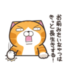ランラン猫 18 (日本語)（個別スタンプ：7）