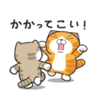 ランラン猫 18 (日本語)（個別スタンプ：14）