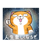 ランラン猫 18 (日本語)（個別スタンプ：15）