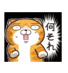 ランラン猫 18 (日本語)（個別スタンプ：22）
