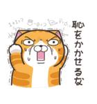 ランラン猫 18 (日本語)（個別スタンプ：32）