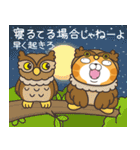 ランラン猫 18 (日本語)（個別スタンプ：39）