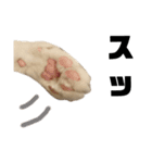 ネコのニコの広島弁(昭和風味)（個別スタンプ：25）