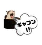 ネコのニコの広島弁(昭和風味)（個別スタンプ：30）
