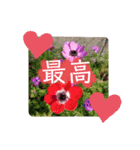 君に日常会話（個別スタンプ：4）
