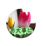君に日常会話（個別スタンプ：5）