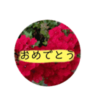 君に日常会話（個別スタンプ：7）