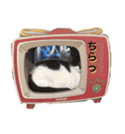 らもほとみのり（個別スタンプ：5）