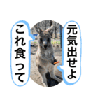 らもほとみのり（個別スタンプ：19）