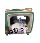 らもほとみのり（個別スタンプ：21）