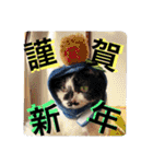 らもほとみのり（個別スタンプ：23）