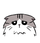 ゴロゴロ猫2（個別スタンプ：5）