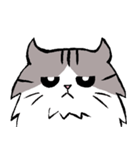 ゴロゴロ猫2（個別スタンプ：6）