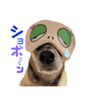 我が家のあずきなこ（個別スタンプ：3）