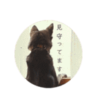 我が家のあずきなこ（個別スタンプ：32）
