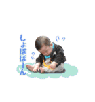 BIrukiN STAMP（個別スタンプ：23）