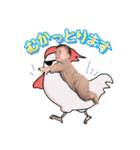 BIrukiN STAMP（個別スタンプ：24）