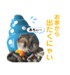 我が家のわんぱくアニマル部【夏が来た編】（個別スタンプ：4）