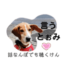 うしおの伊予弁①(松山・中予)（個別スタンプ：12）