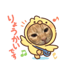 茶トラのしんば（個別スタンプ：3）