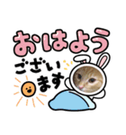 茶トラのしんば（個別スタンプ：7）