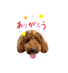 ABBEYだよ2（個別スタンプ：8）