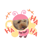 プードルひなちゃん4（個別スタンプ：12）