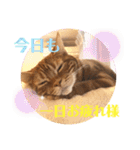 ただただ可愛い こうめちゃんのスタンプ♡3（個別スタンプ：6）