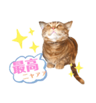 ただただ可愛い こうめちゃんのスタンプ♡3（個別スタンプ：7）
