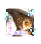 ただただ可愛い こうめちゃんのスタンプ♡3（個別スタンプ：9）