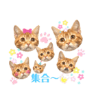ただただ可愛い こうめちゃんのスタンプ♡3（個別スタンプ：11）