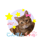 ただただ可愛い こうめちゃんのスタンプ♡3（個別スタンプ：12）