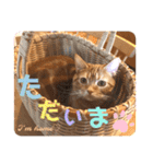 ただただ可愛い こうめちゃんのスタンプ♡3（個別スタンプ：16）