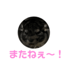 チンチラのコトロ（個別スタンプ：7）
