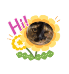 紫友会 保護猫スタンプ✨（個別スタンプ：12）