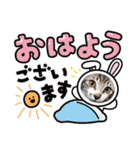 紫友会 保護猫スタンプ✨（個別スタンプ：17）
