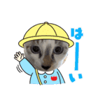 紫友会 保護猫スタンプ✨（個別スタンプ：19）