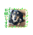 ライルー（個別スタンプ：3）