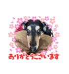 ライルー（個別スタンプ：4）