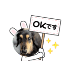 ライルー（個別スタンプ：6）
