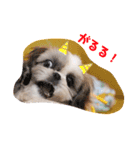 つくしとすみれ4 シーズー（個別スタンプ：14）