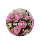 可愛いお花に優しい言葉を添えて（個別スタンプ：3）
