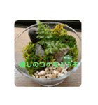 可愛いお花に優しい言葉を添えて（個別スタンプ：8）