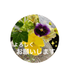 可愛いお花に優しい言葉を添えて（個別スタンプ：10）