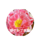 可愛いお花に優しい言葉を添えて（個別スタンプ：13）