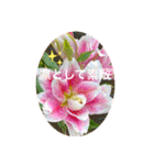 可愛いお花に優しい言葉を添えて（個別スタンプ：16）