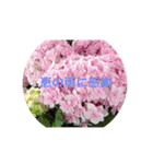 可愛いお花に優しい言葉を添えて（個別スタンプ：17）